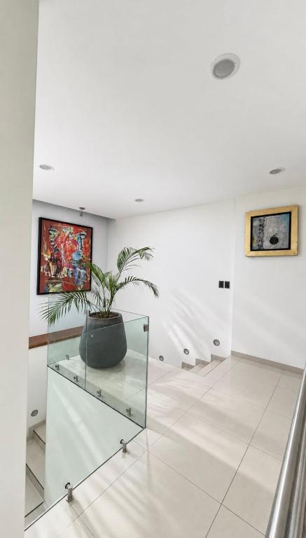 Mandarina Boutique House - 5
