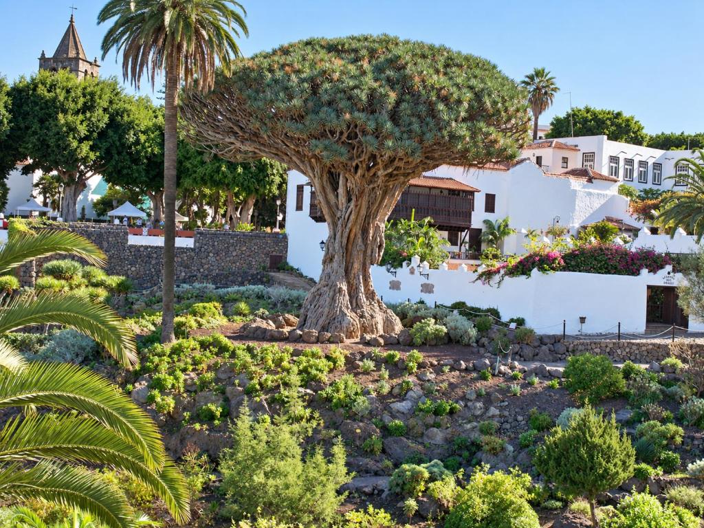 Casa Rural la Furnia - 1