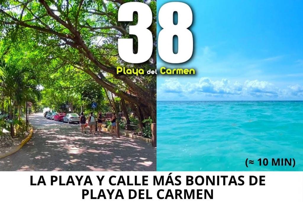 Casa 2 Niveles con 3 Albercas a 10 min de 5ta avenida y Playa - 2