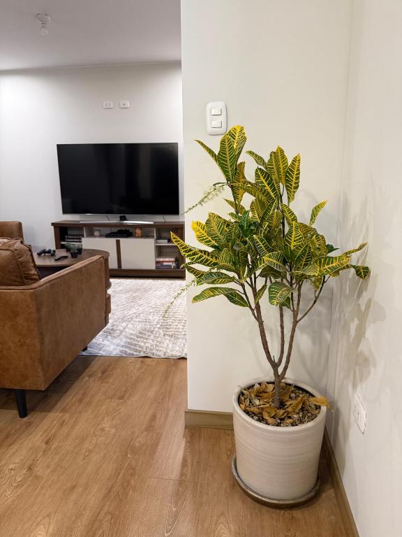 Cozy, Spacious & Convenient Apartment - 2
