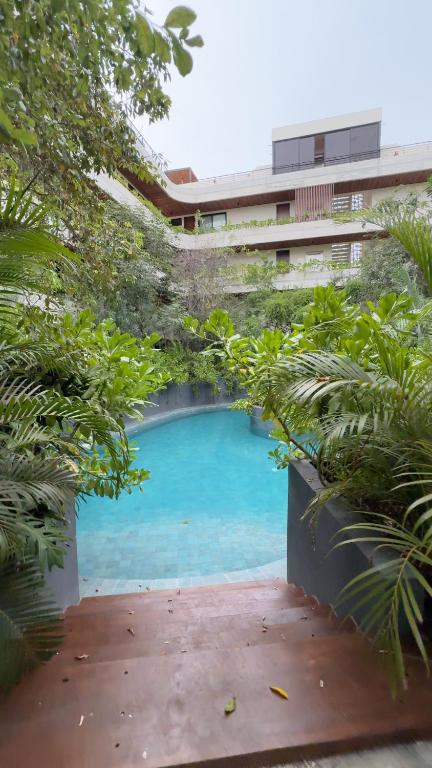 1BR Jungle view pool Near Beach - 5
