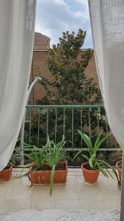 Magnolia view - 3