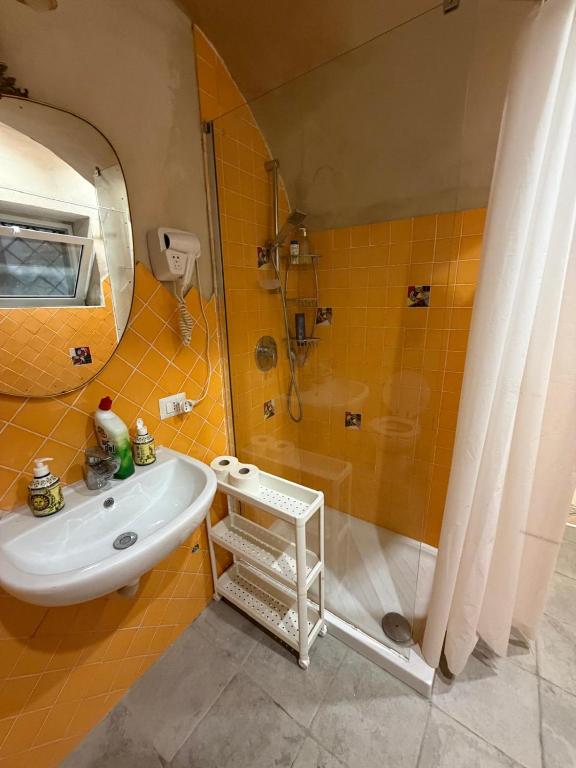 Casa storica Patrizia Pavimento in vasoli antichi caratteristici Al centro - 5
