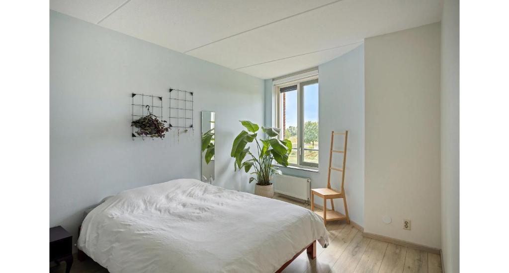 Dream Residence - 5