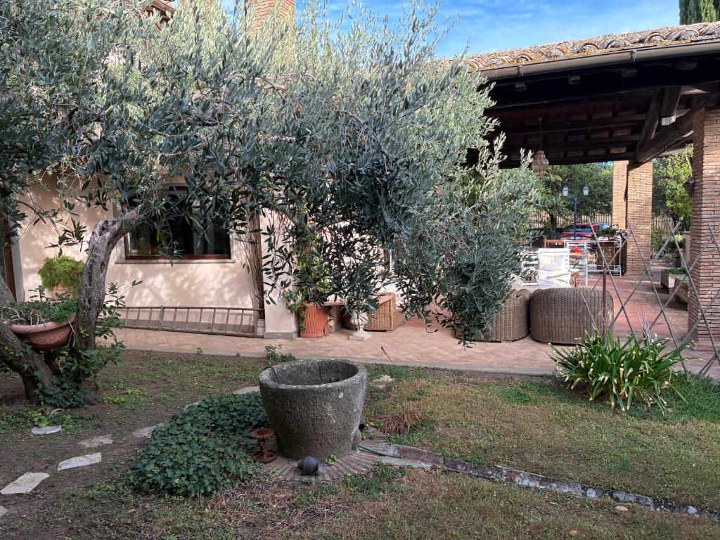 La Paloma B&B di Charme - 3