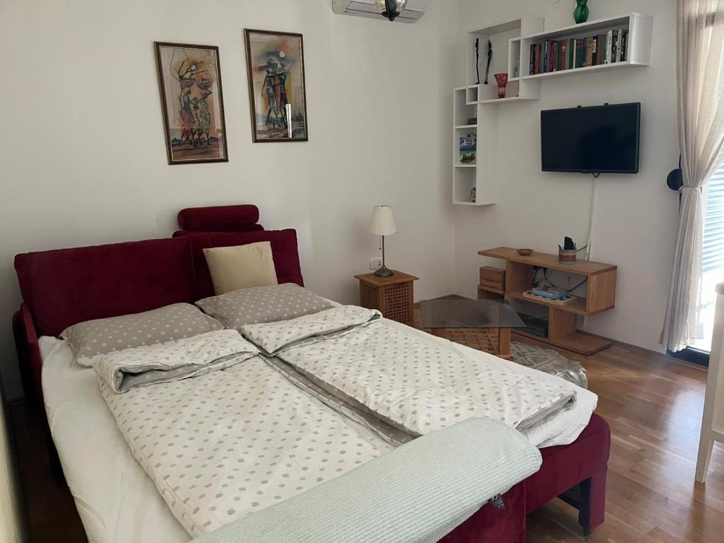 Studio Zabjelo - 4