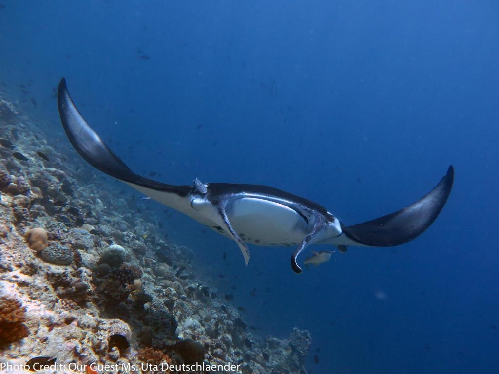 スポーツ/アクティビティ