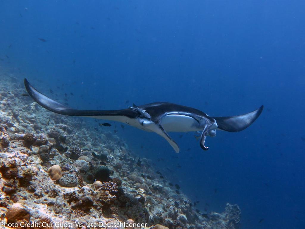 スポーツ/アクティビティ