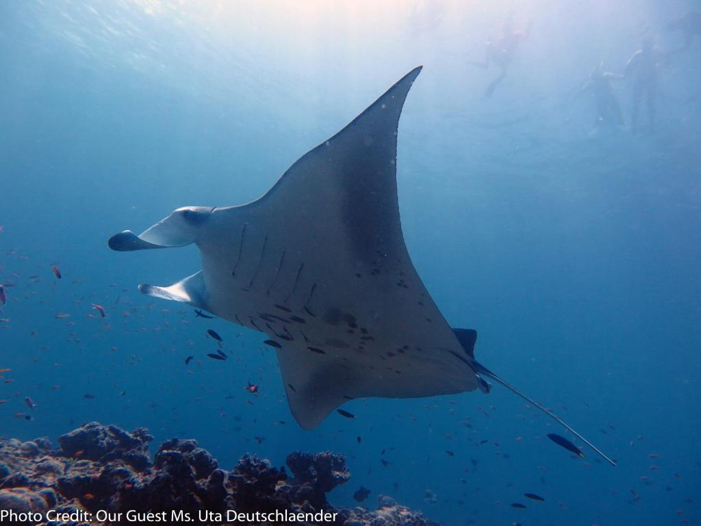 スポーツ/アクティビティ