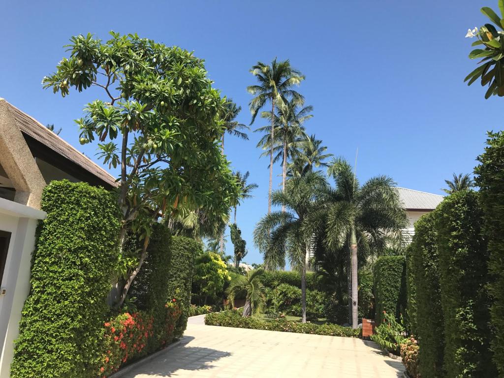 Surrounding environment