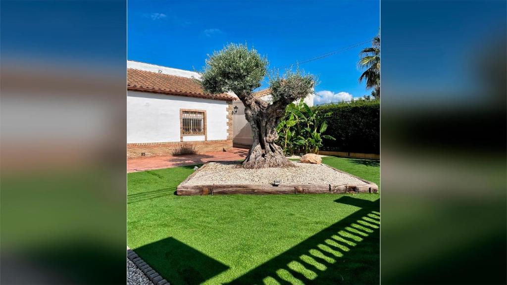 Villa El Olivo de Córdoba. - 2