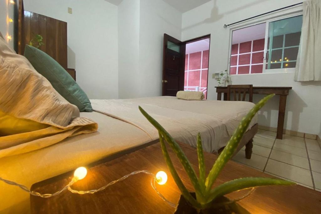 Casa Luma-Coliving - 5