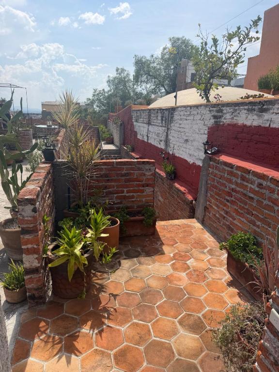 Suite Roof Top - 5
