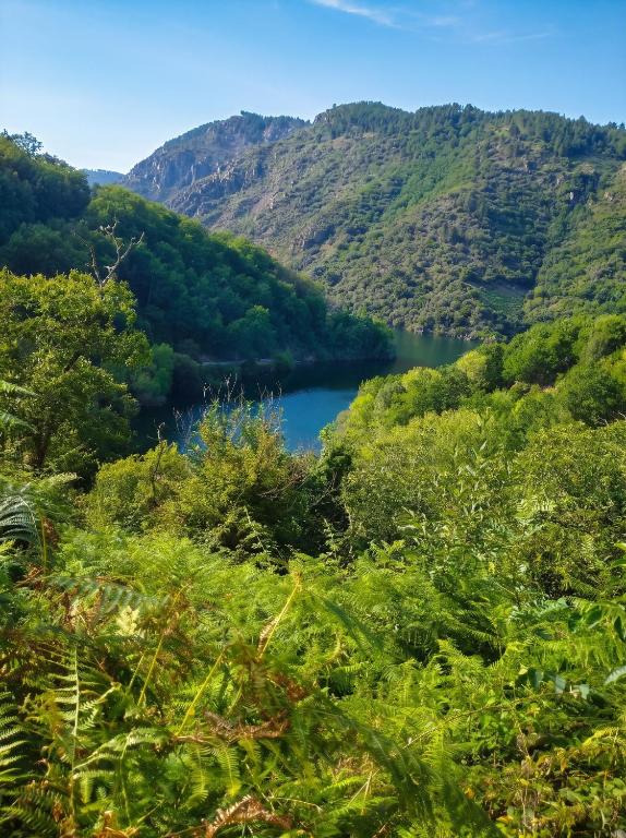 Cosy Apartment in Ourense with Mountain View, 40 m² - 2