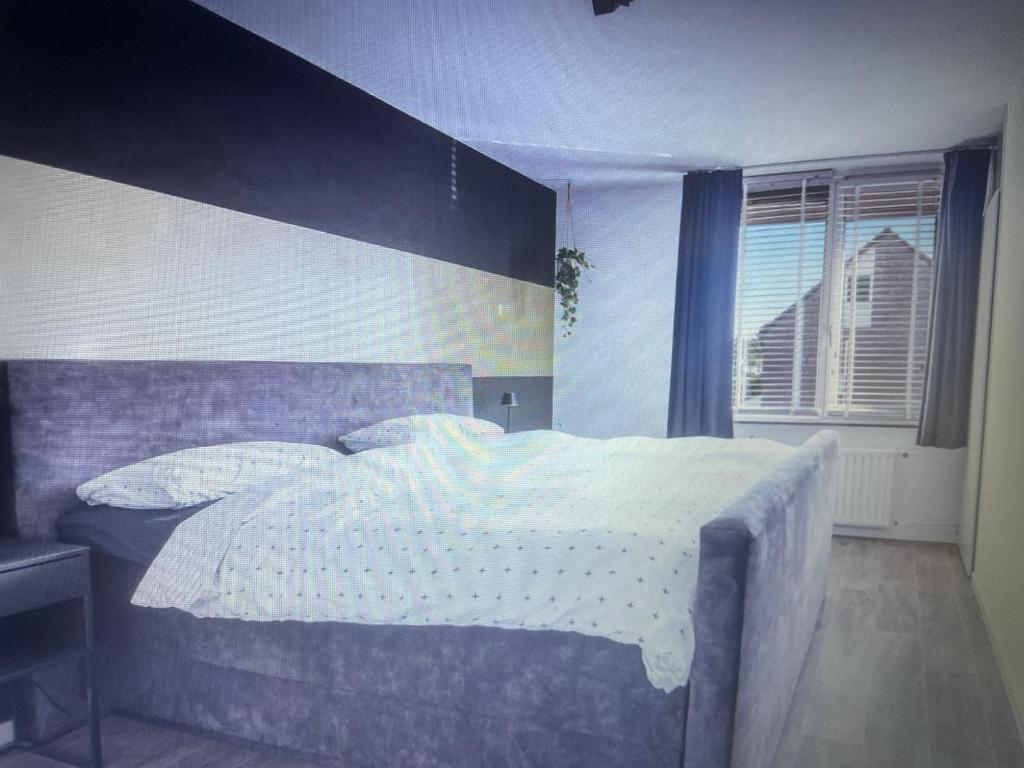 Serenity Residence - 1