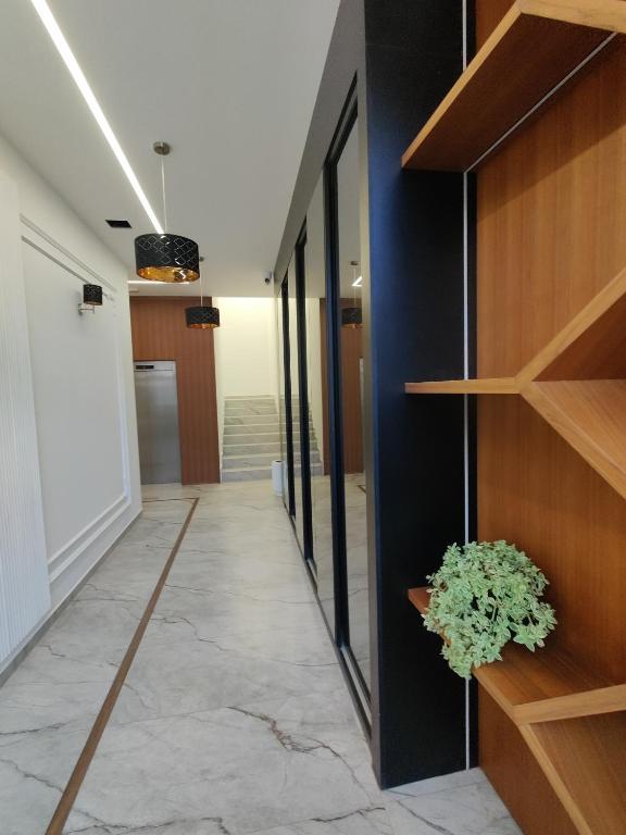 Apartment Andjela, city centre - 1