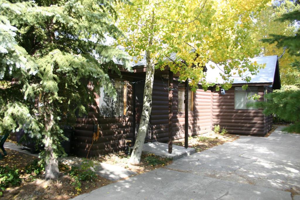 Yellowstone Wildlife Cabins photo