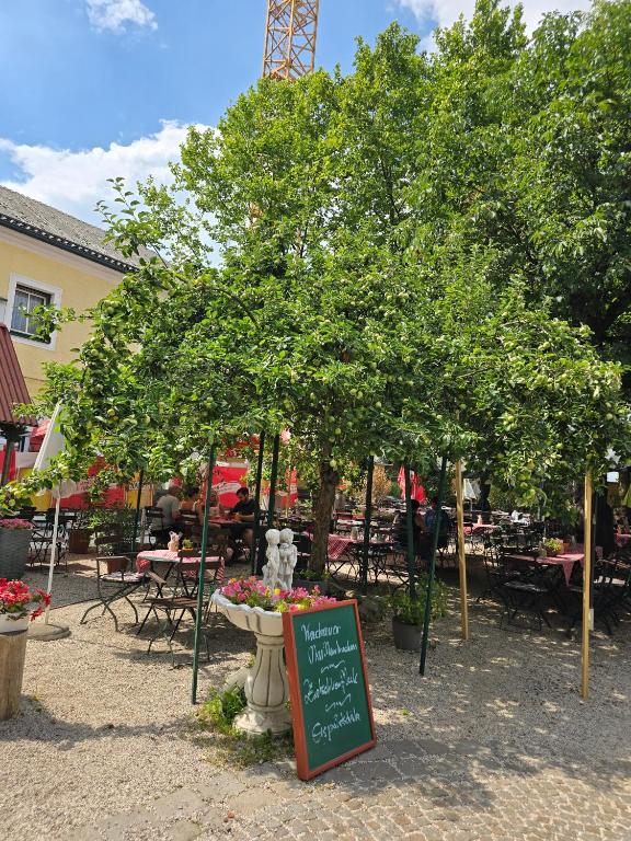Gasthaus Schiefer Apfelbaum - 1