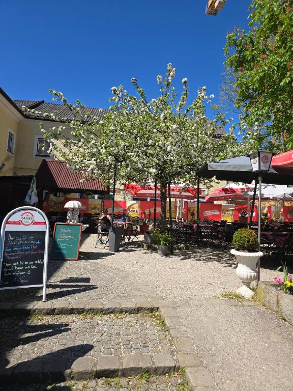 Gasthaus Schiefer Apfelbaum - 3