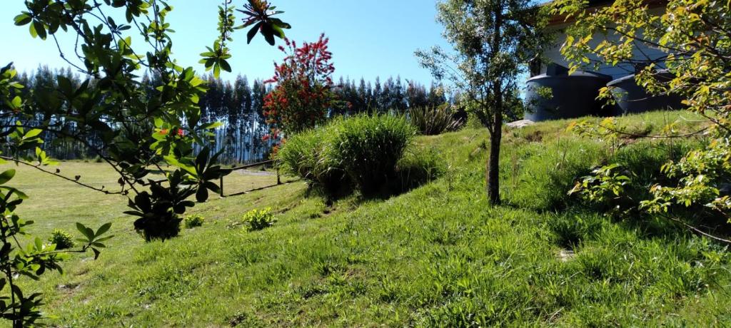 Refugio Campestre Villarrica - 2