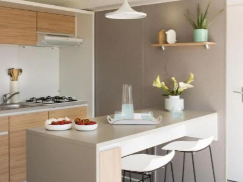 Mobil home paisible, animaux admis - 4 pers. - FR-1-1020-24 - 3
