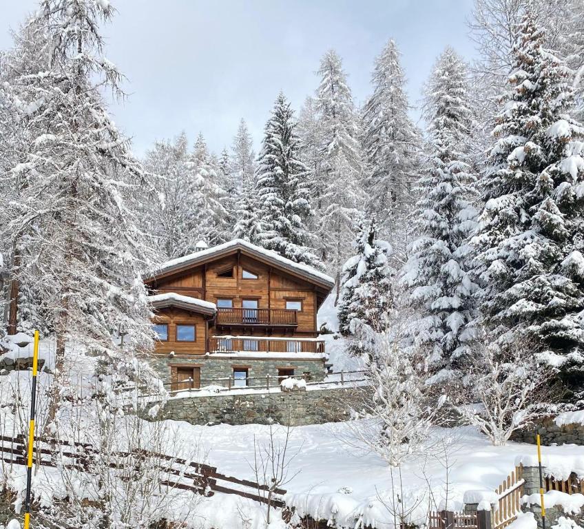 Chalet des Bois - 1