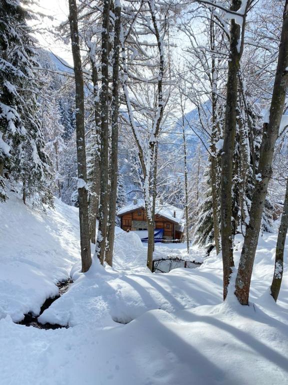 Chalet des Bois - 4