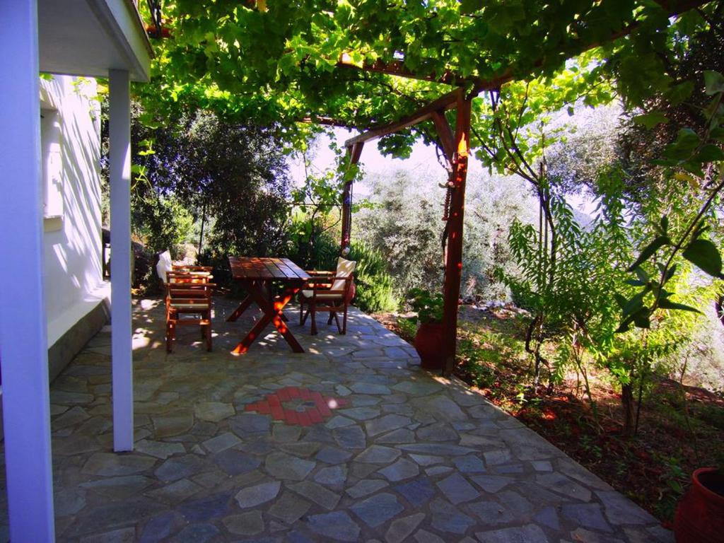 Villas Zoe photo