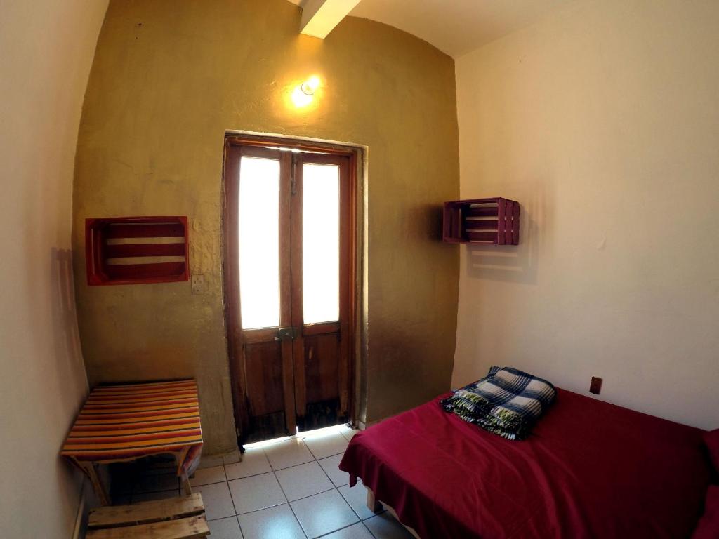 Iguana Hostel Oaxaca photo
