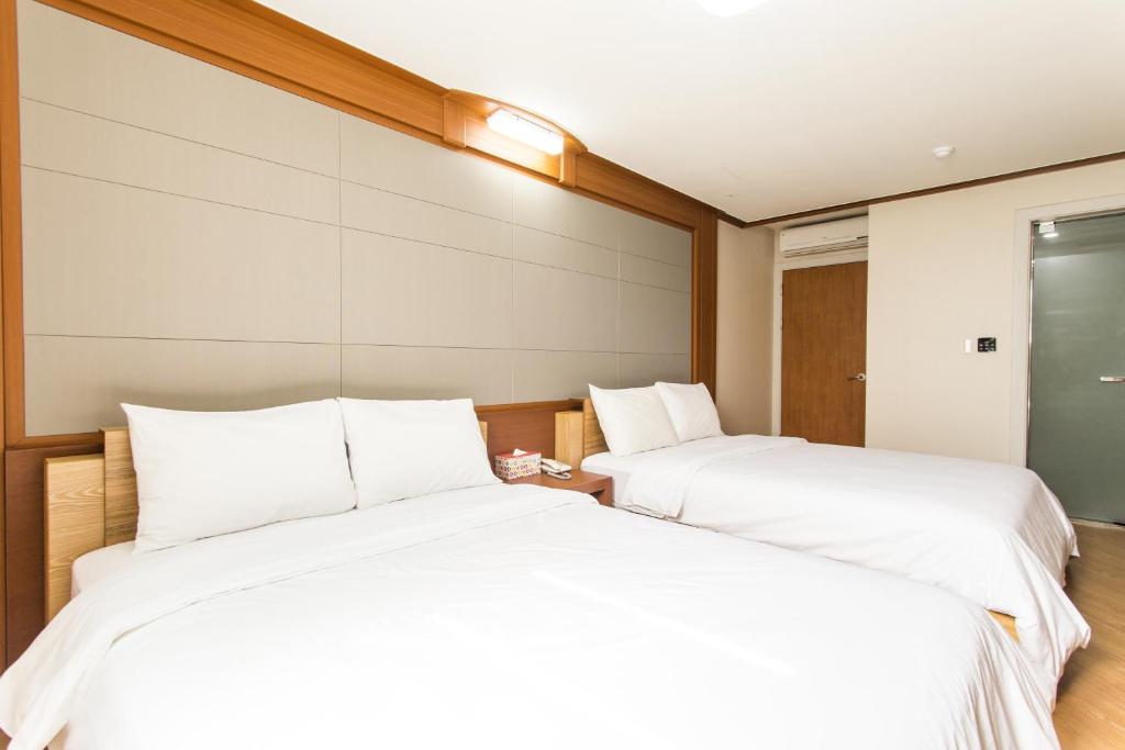 Attrezzature e servizi