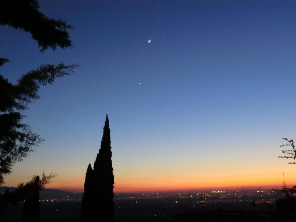 View