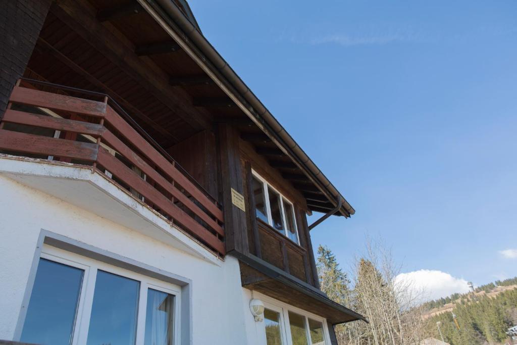 Kuckucksnester Feldberg photo