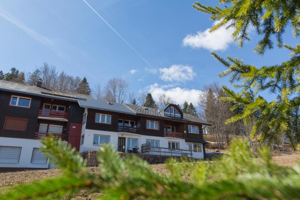 Kuckucksnester Feldberg photo