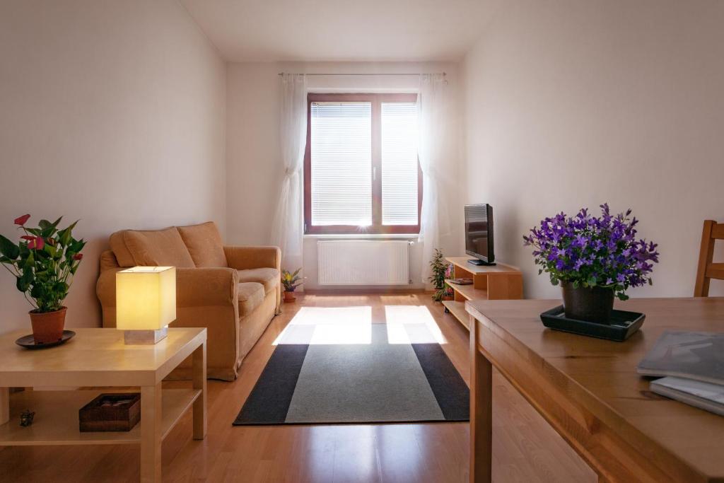 Downtown Apartments Kozatska, Praha