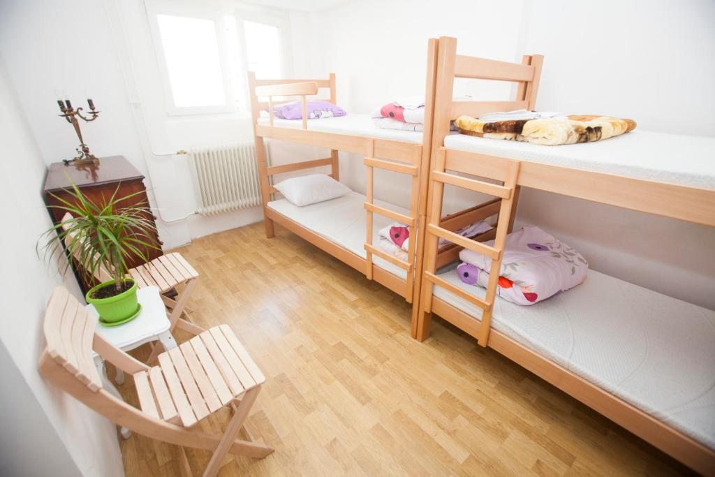 Hostel Jellostone photo