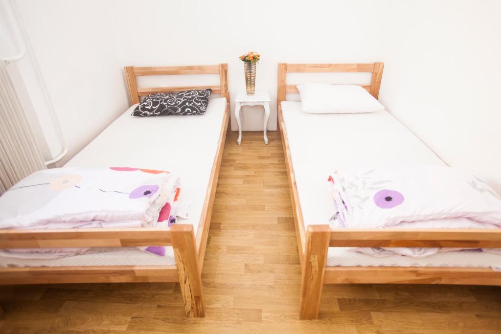 Hostel Jellostone photo