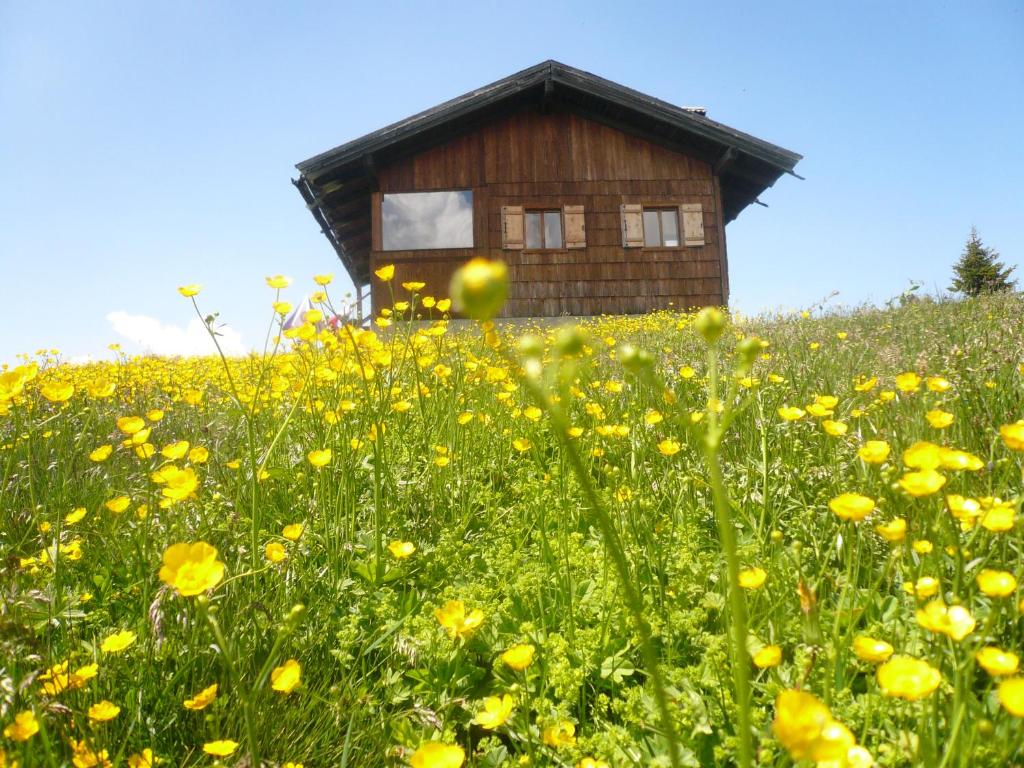 Planatscherhof - 5