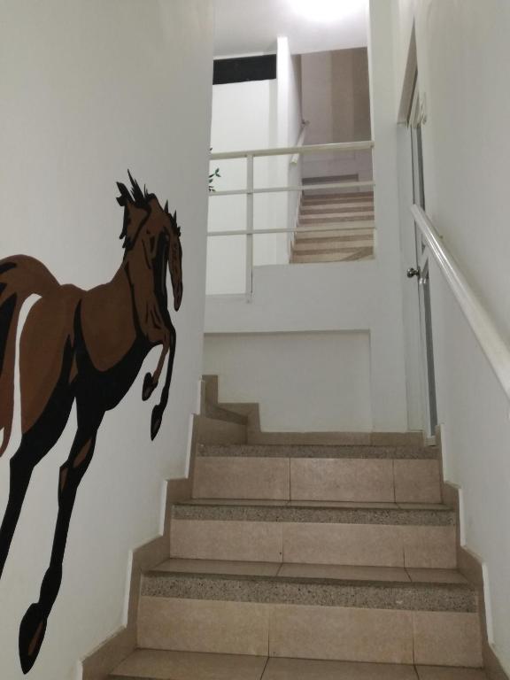 Francisco Habitaciones photo