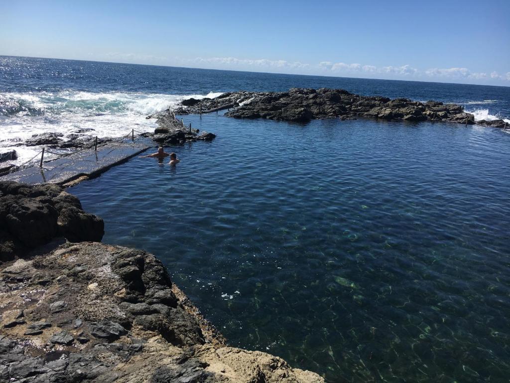 Sea Whispers photo