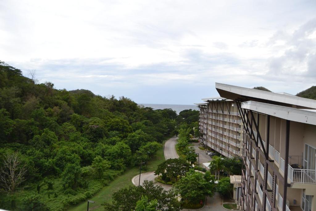 View