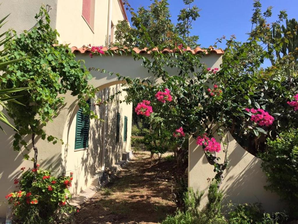 Surra Mediterranean Apartments - 3