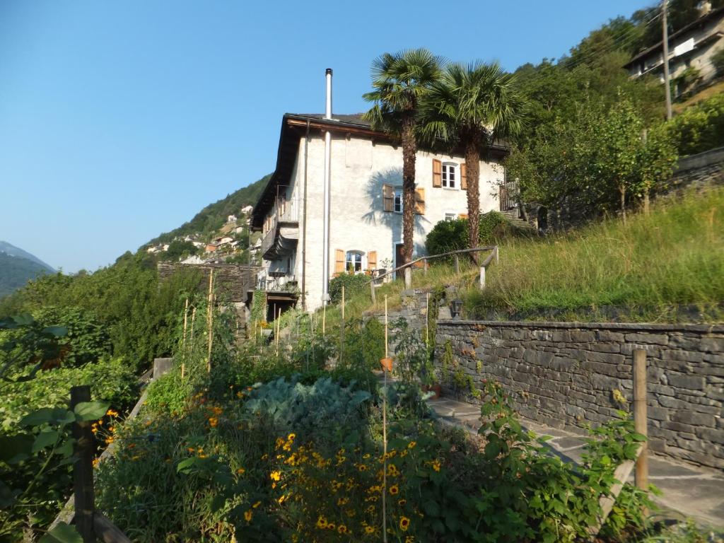 Casa del sarto 전경
