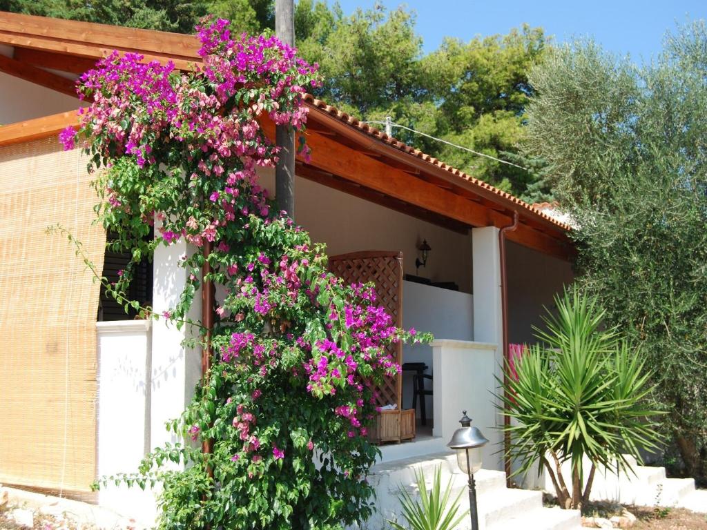 Althea Village Residence - 4