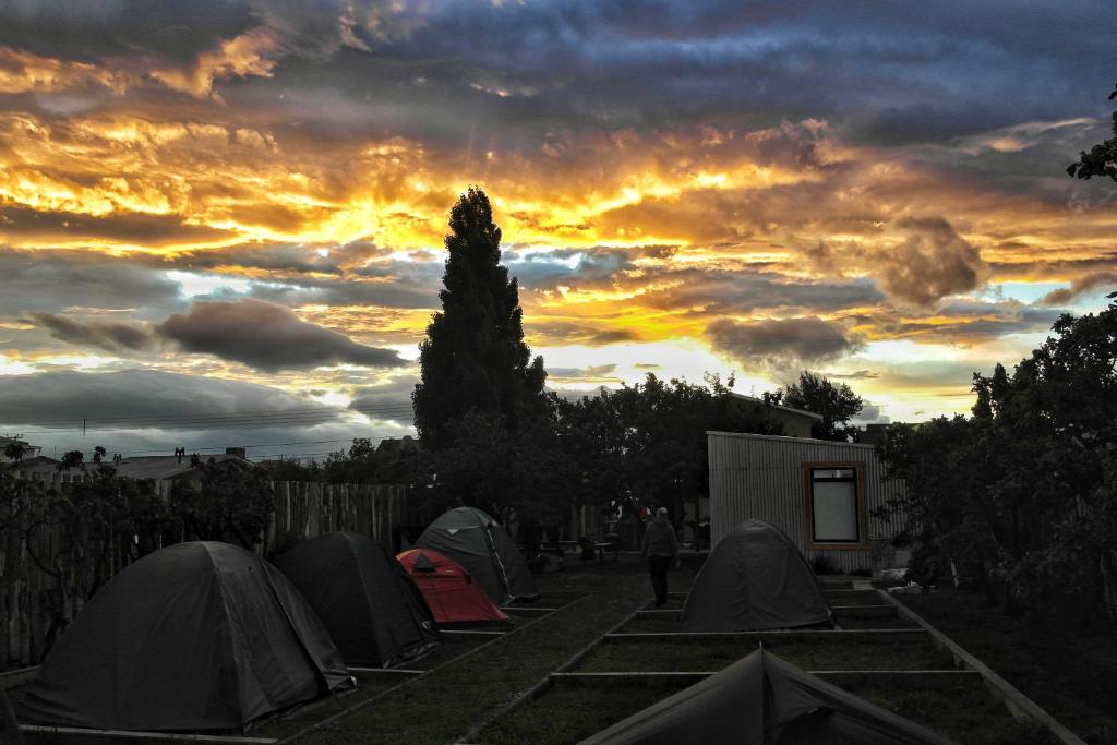 Camping Yellow Plum photo