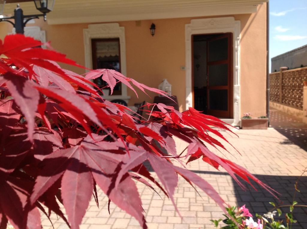 B&B Acero Rosso photo