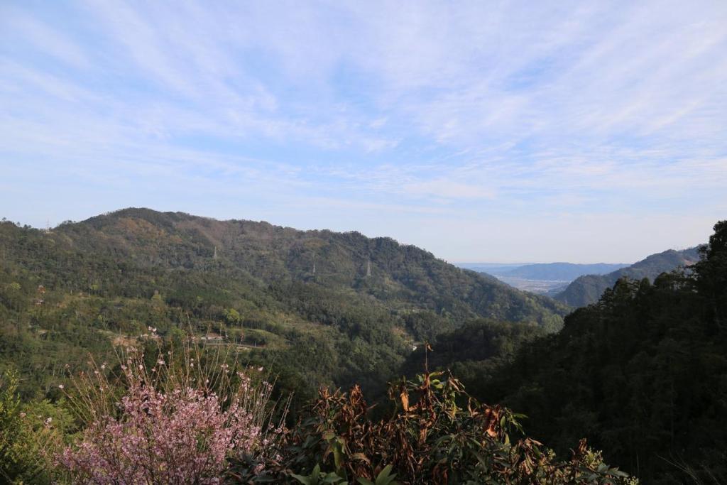 Surrounding environment