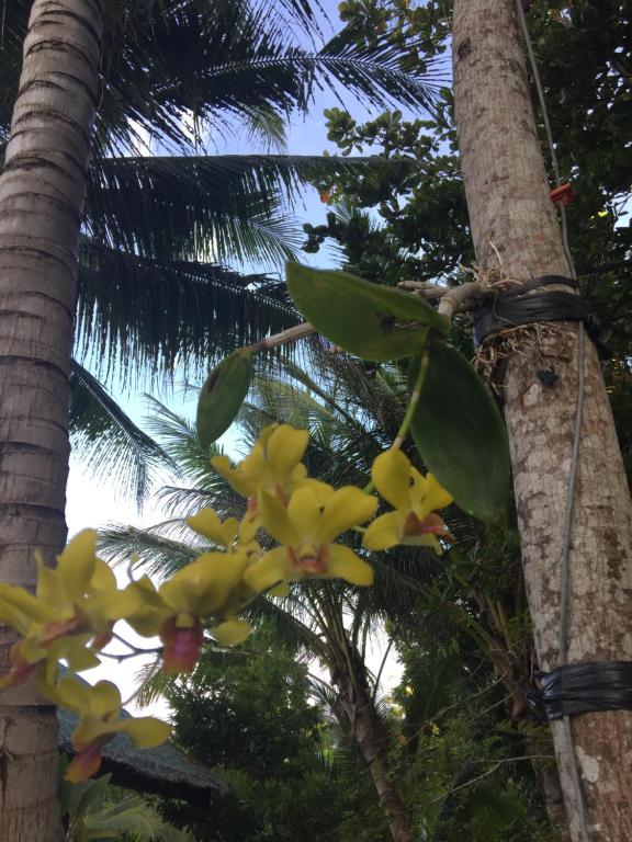 Surrounding environment