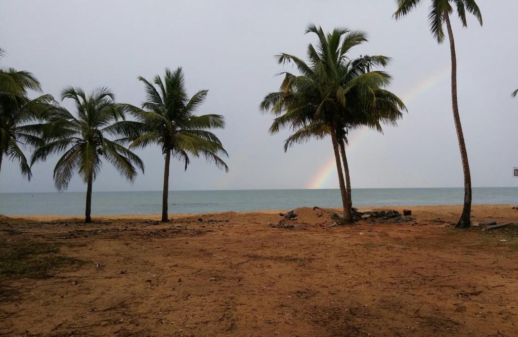Saara Beach Hotel photo