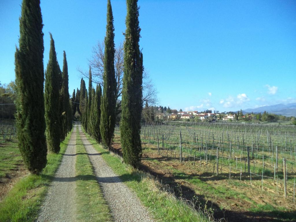 Agriturismo Albergotti - 4
