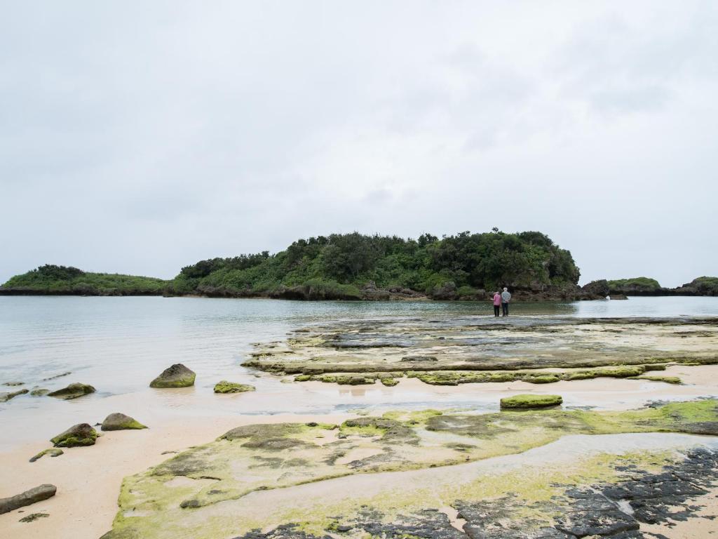 Surrounding environment